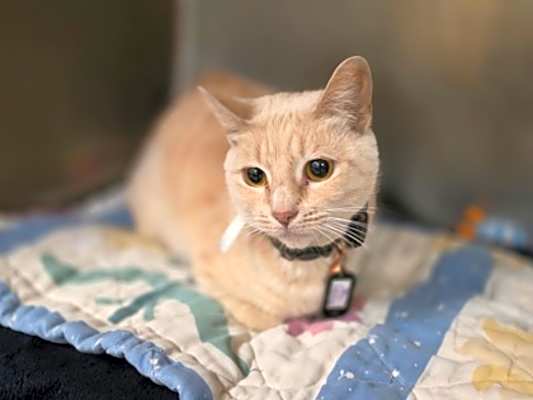 Photo of Missy #image