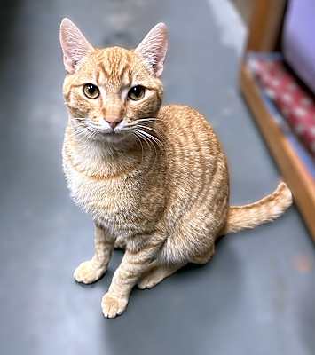 Photo of Cassidy #image