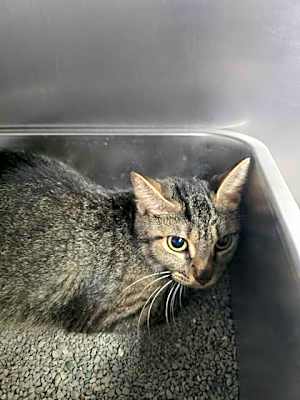 Photo of Spice #image