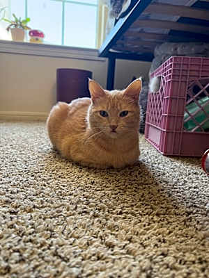 Photo of Monday #image