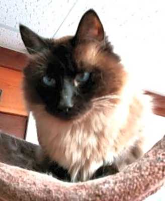 Photo of Mr. Stubbs #image