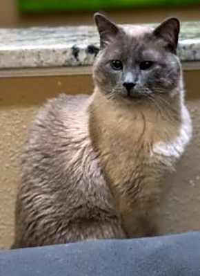 Photo of Chaz #image