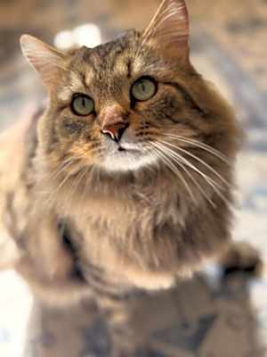 Photo of Frank #image