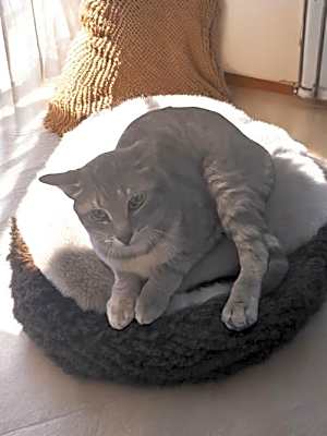 Photo of Reese #image