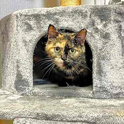 Photo of Ruska #image