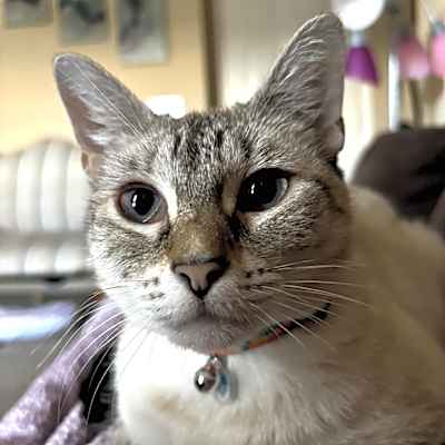 Photo of Claire  #image