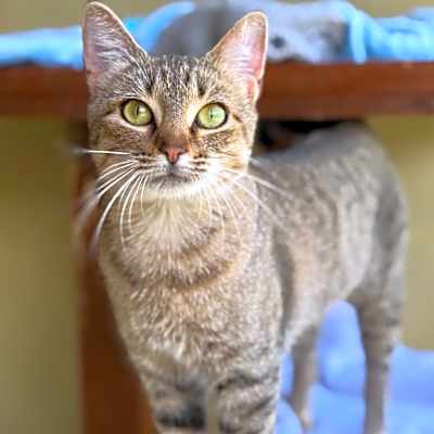 Photo of AGATHA  #image