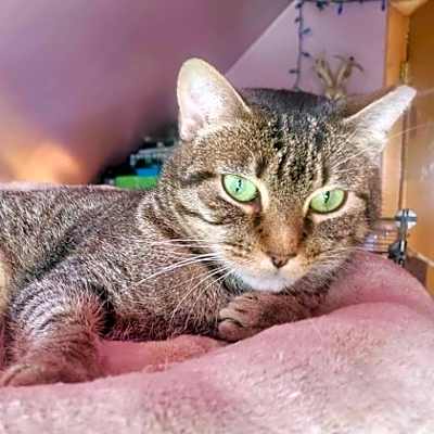 Photo of Clara #image