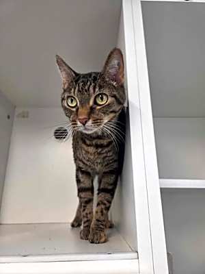Photo of Mishi #image