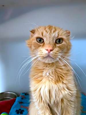 Photo of Spartacus #image
