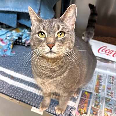 Photo of Penelope #image
