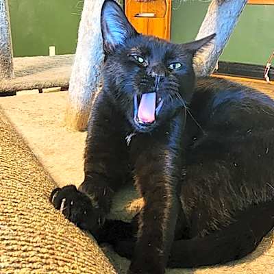 Photo of Hex #image