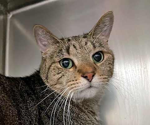 Photo of Horatio #image