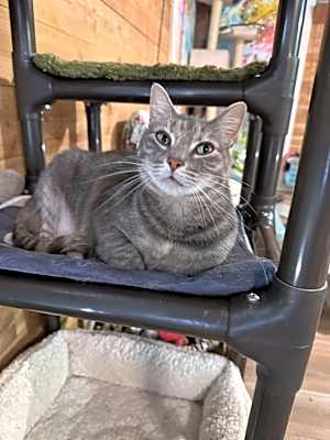 Photo of KiKi #image