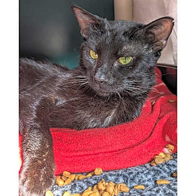 Photo of Neighbor Tommy #image