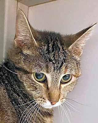 Photo of Mae-maternity hold #image