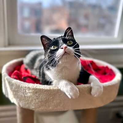 Photo of Geraldine #image