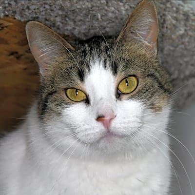 Photo of Lucy #image