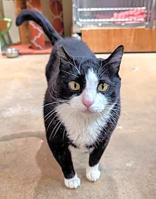 Photo of Tommy #image