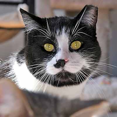 Photo of Lyle #image