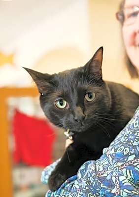 Photo of Missy #image