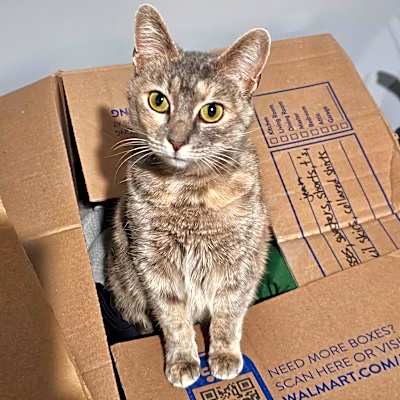 Photo of Daisy Mae #image