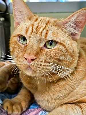 Photo of Fergus #image