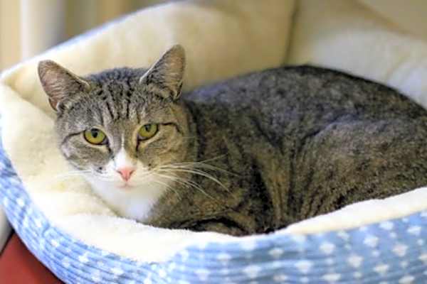 Photo of Catricia #image