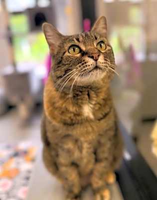 Photo of Martha #image
