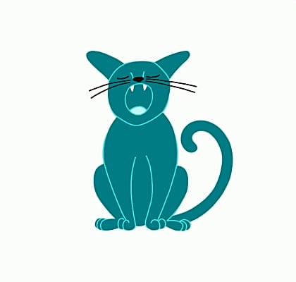 Photo of Spot #image