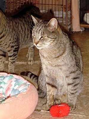 Photo of Momma #image