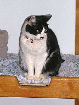 Photo of Roxie #image
