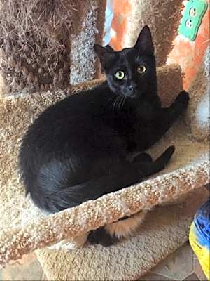 Photo of Solomon #image