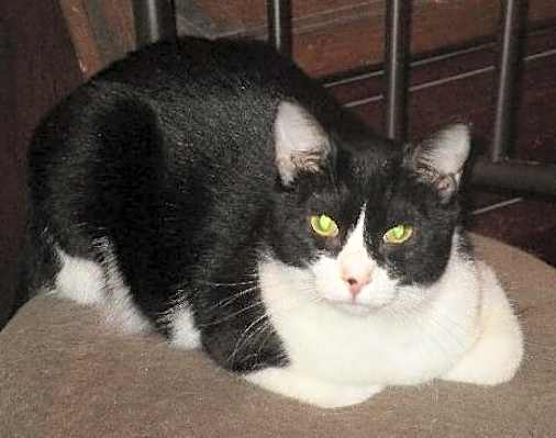 Photo of Cain #image
