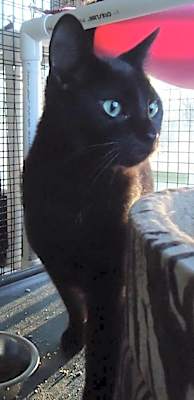 Photo of Clark #image
