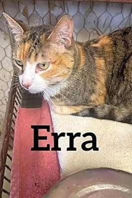 Photo of Erra #image