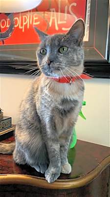 Photo of LuLu #image