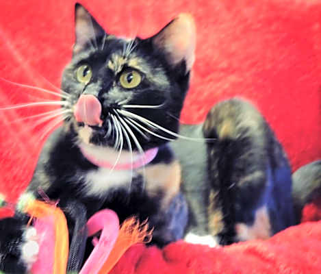 Photo of Sasha #image