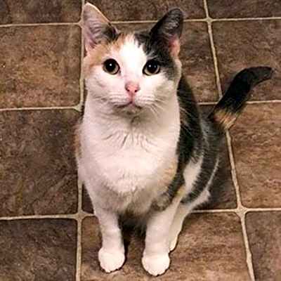Photo of Peigi #image