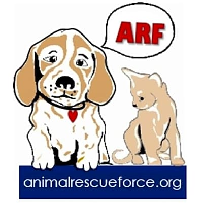 Photo of 'A Blank Adoption Form' #image