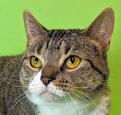 Photo of Sloane #image