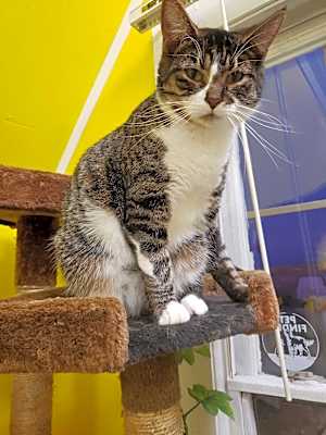 Photo of ELLIE MAE #image
