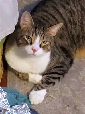 Photo of Lucky R #image