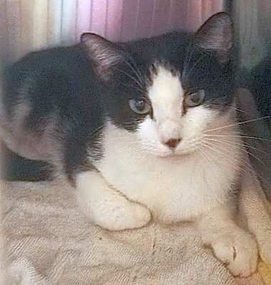 Photo of Lucy #image