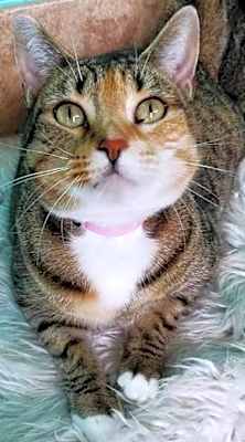 Photo of Jewel #image