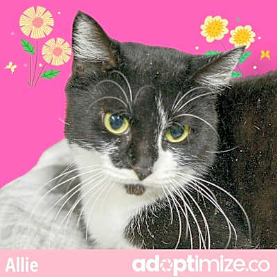 Photo of Allie #image