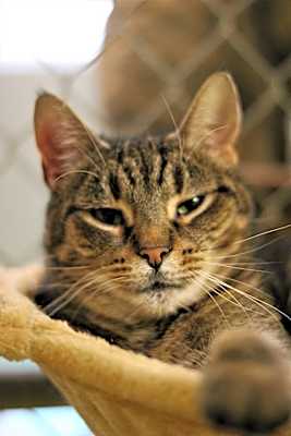 Photo of Delilah #image