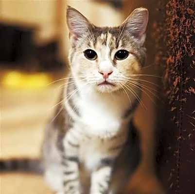 Photo of Shannon #image
