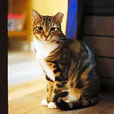 Photo of Bridget #image