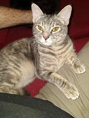 Photo of Sydney #image